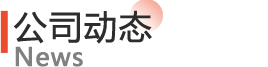 公司动态