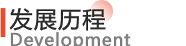发展历程